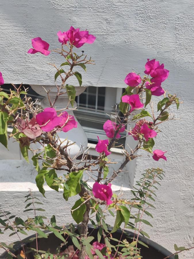 Yoga House Apartment Vanivilasa Puram ภายนอก รูปภาพ